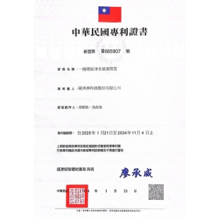 碳美林第一張專利證書.jpg